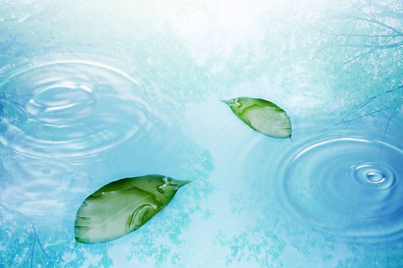 08-58-50-57-3.jpg 08-58-50-57-3.jpg